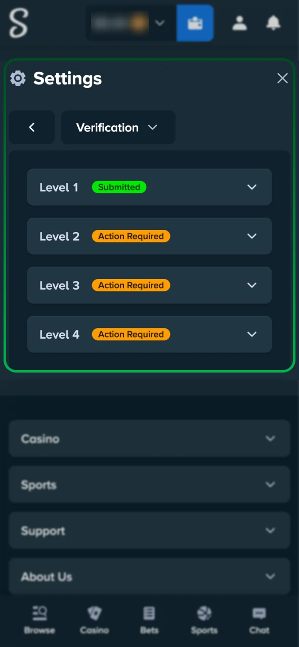 Verify your identity on Stake and protect your gaming funds.