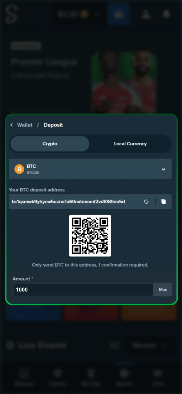 Authorize your Stake transfer following the provider's instructions.