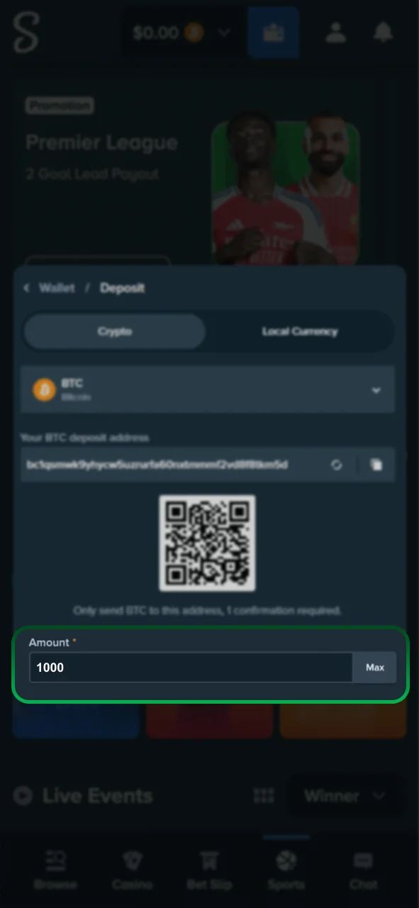 Type in your deposit amount on Stake to start.