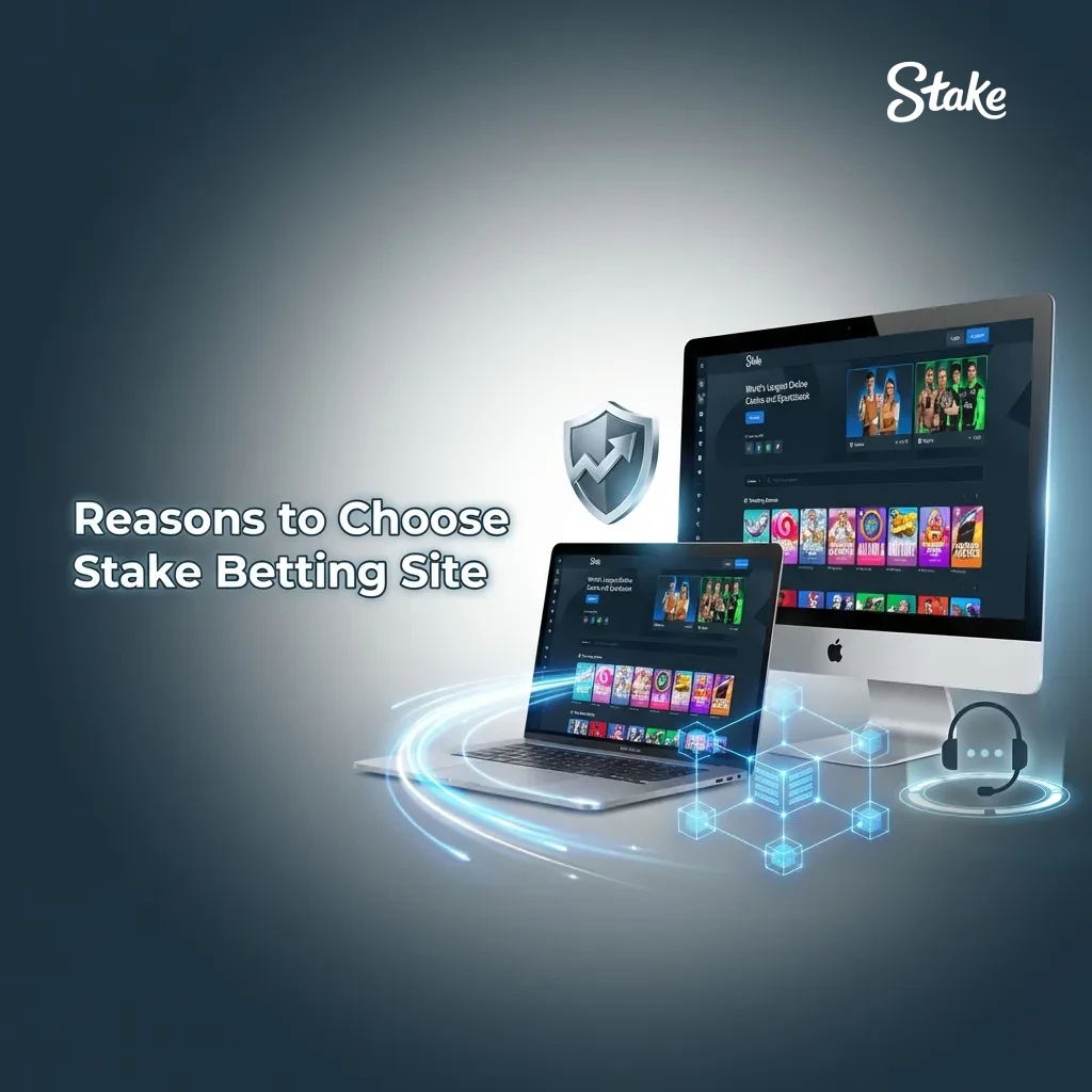 Choose the most trusted platform Stake.