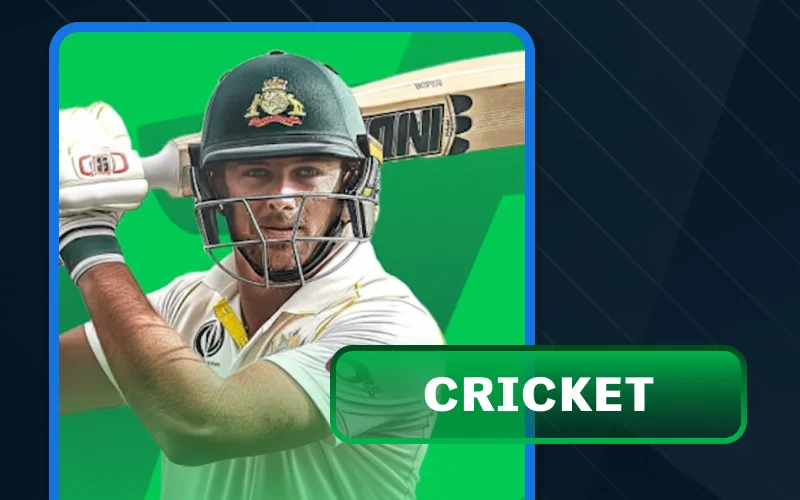 Join the live cricket betting action at Stake.