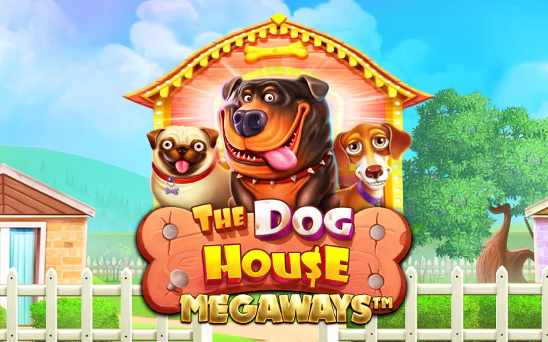 Play The Dog House Megaways on Stake and win in many ways.